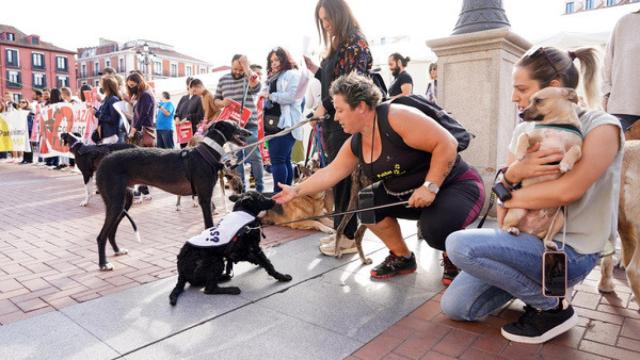 Concentración en Valladolid por la Ley de Protección Animal
