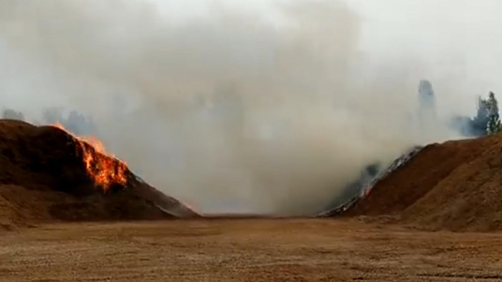 Incendio en el Centro de Recuperación de Aves de Valladolid