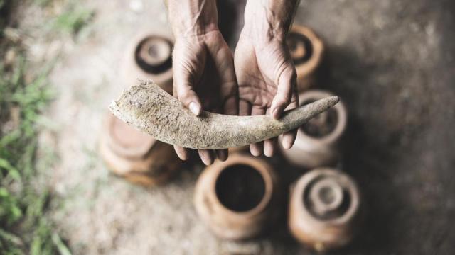 Hasta lo ecológico y más allá