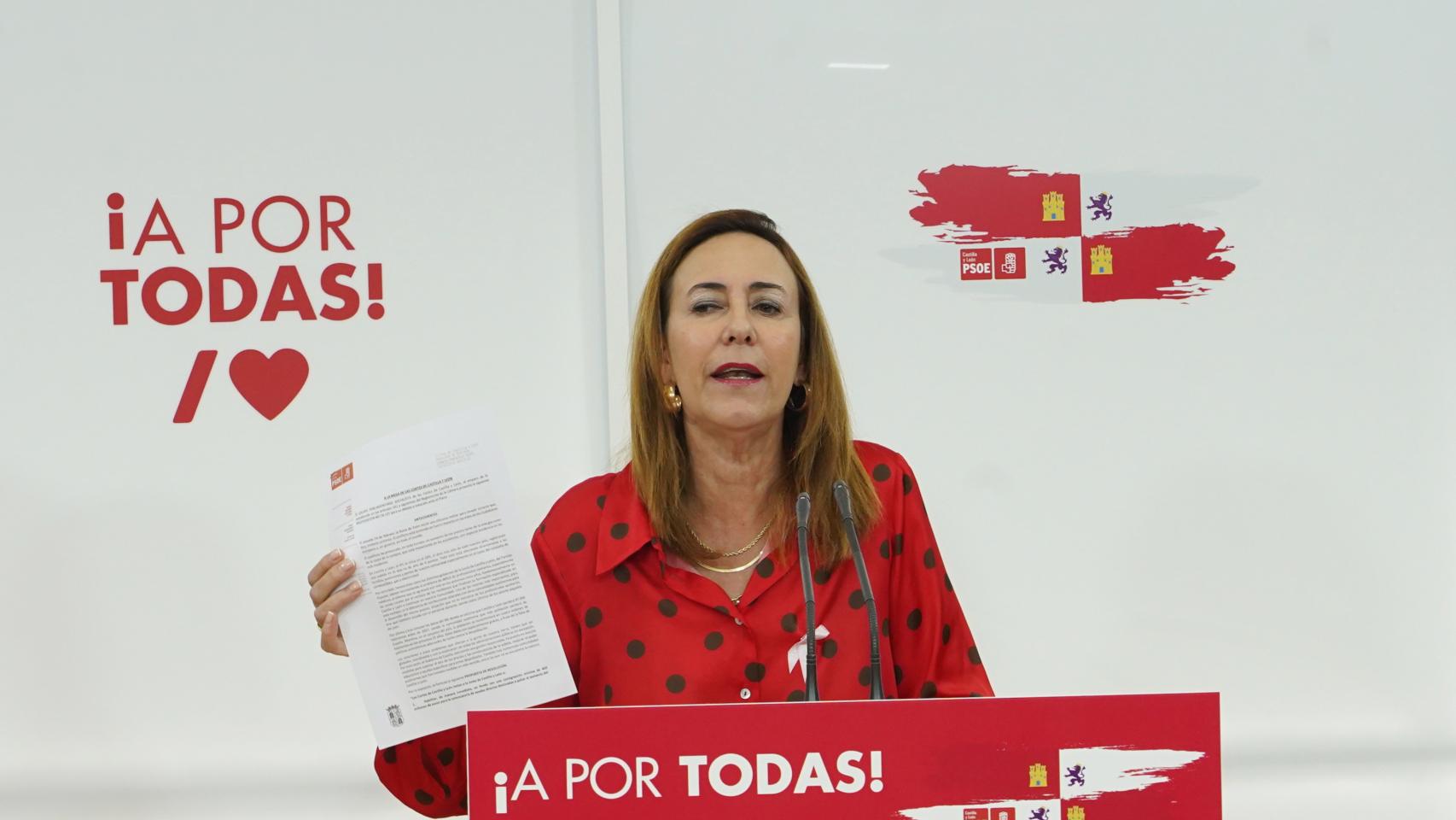 La procuradora socialista Rosa Rubio en una imagen de archivo.