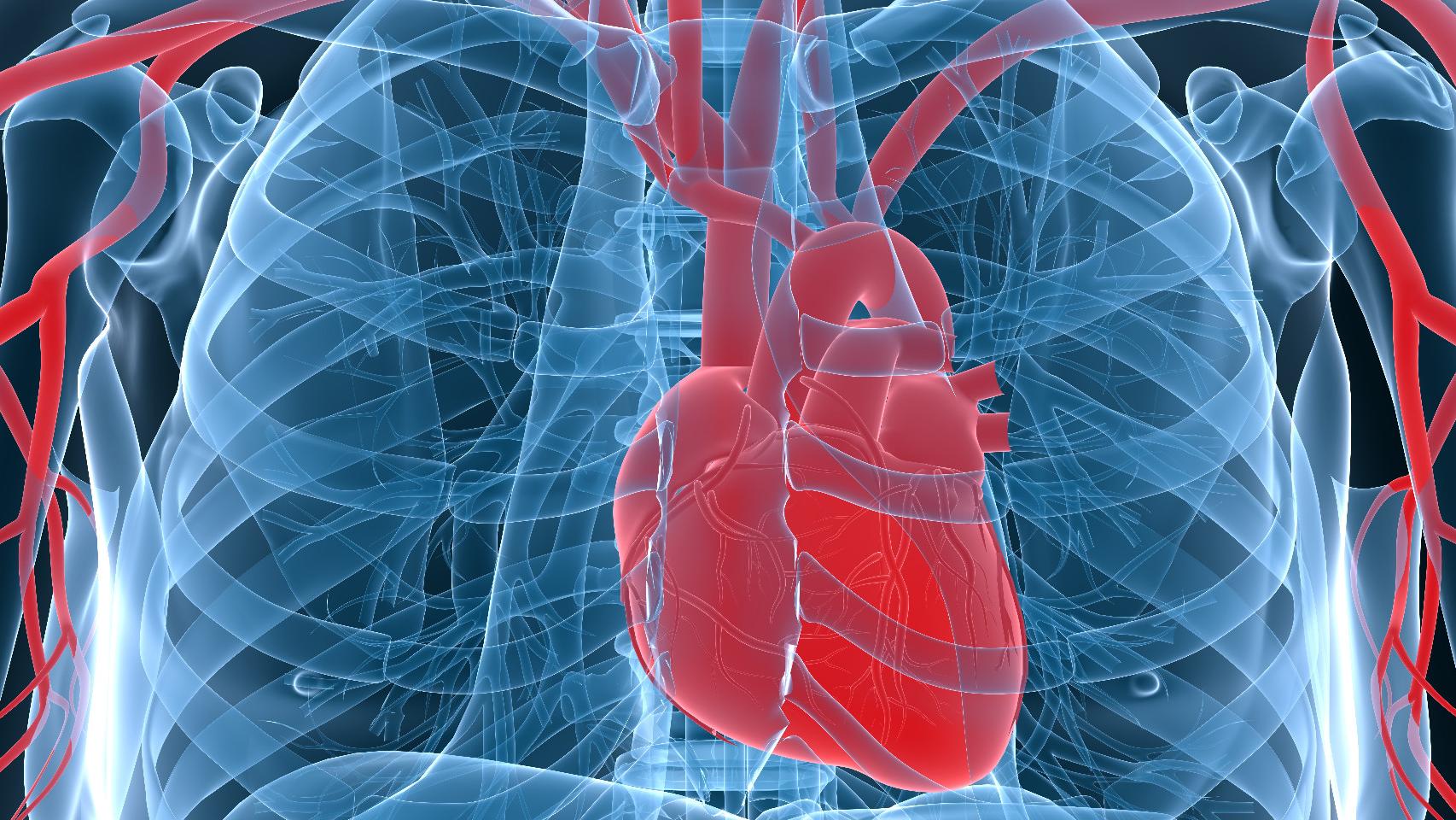 Enfermedades cardiovasculares.