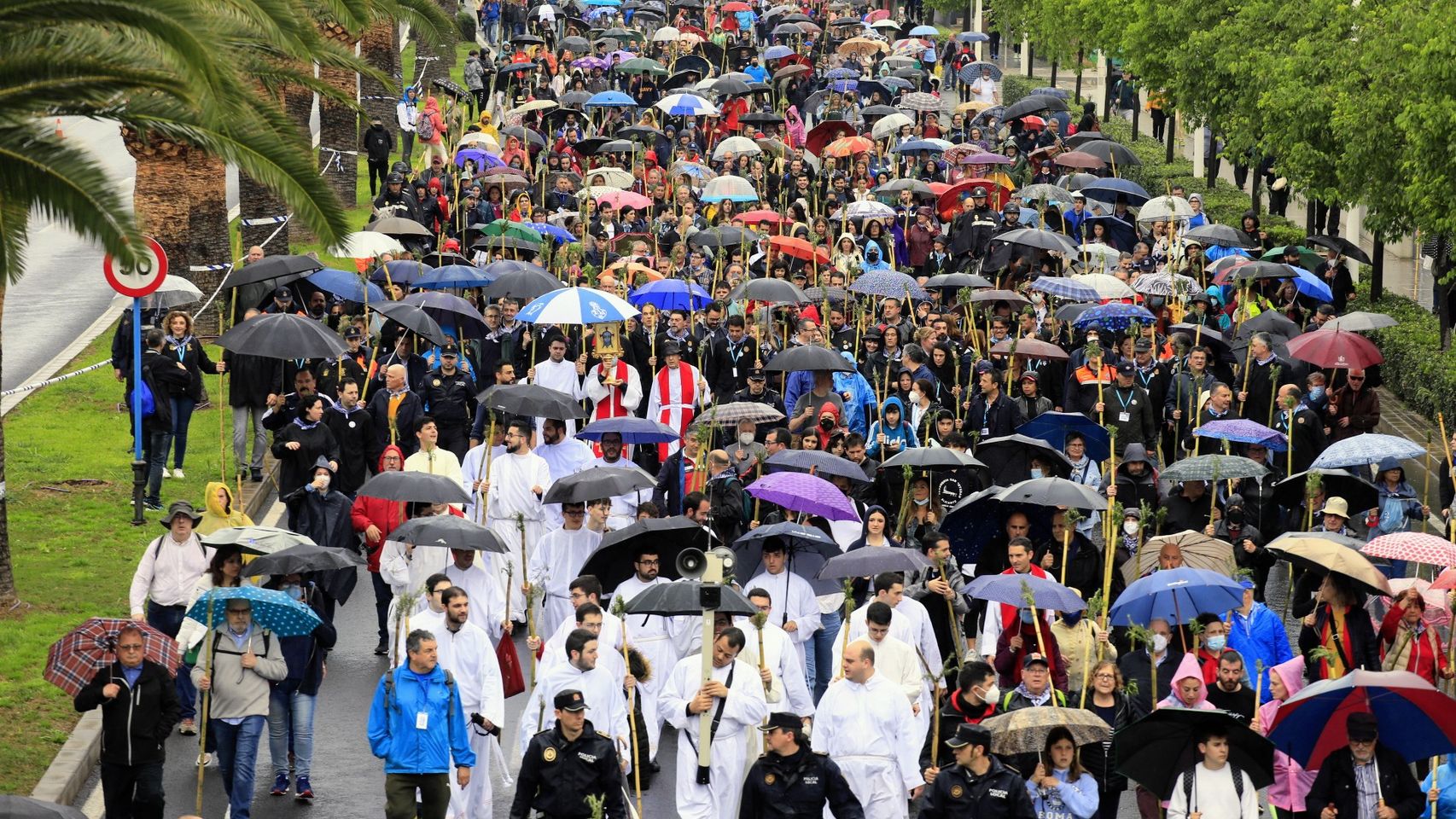 Imagen de la Romería de Santa Faz.