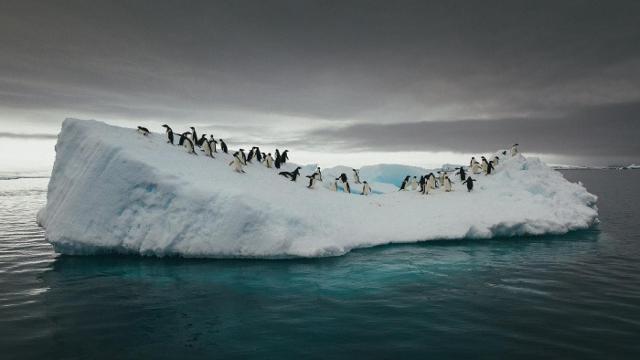 Imagen de la exposición 'Cambio Climático. Cómo evitar un colapso global', organizada por Lunwerg editores y Fundación Axa que se puede ver en Barcelona hasta el 31 de diciembre