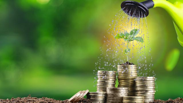 Una planta crece desde un montón de monedas