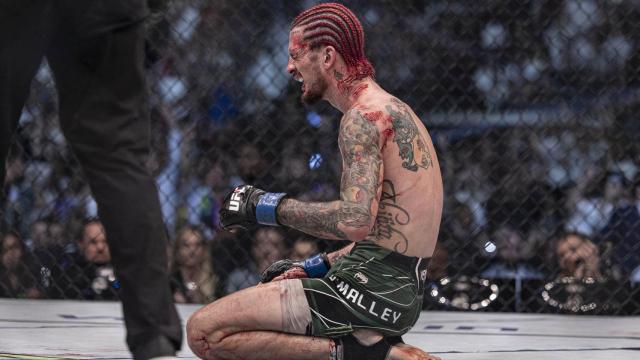 El luchador Sean O'Malley, tras su victoria en el UFC 280