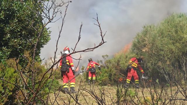 Incendio en Valle de Mena (Burgos)