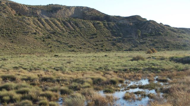 Terrenos del Saladar de Fontcalent.