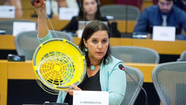 La eurodiputada del BNG Ana Miranda.