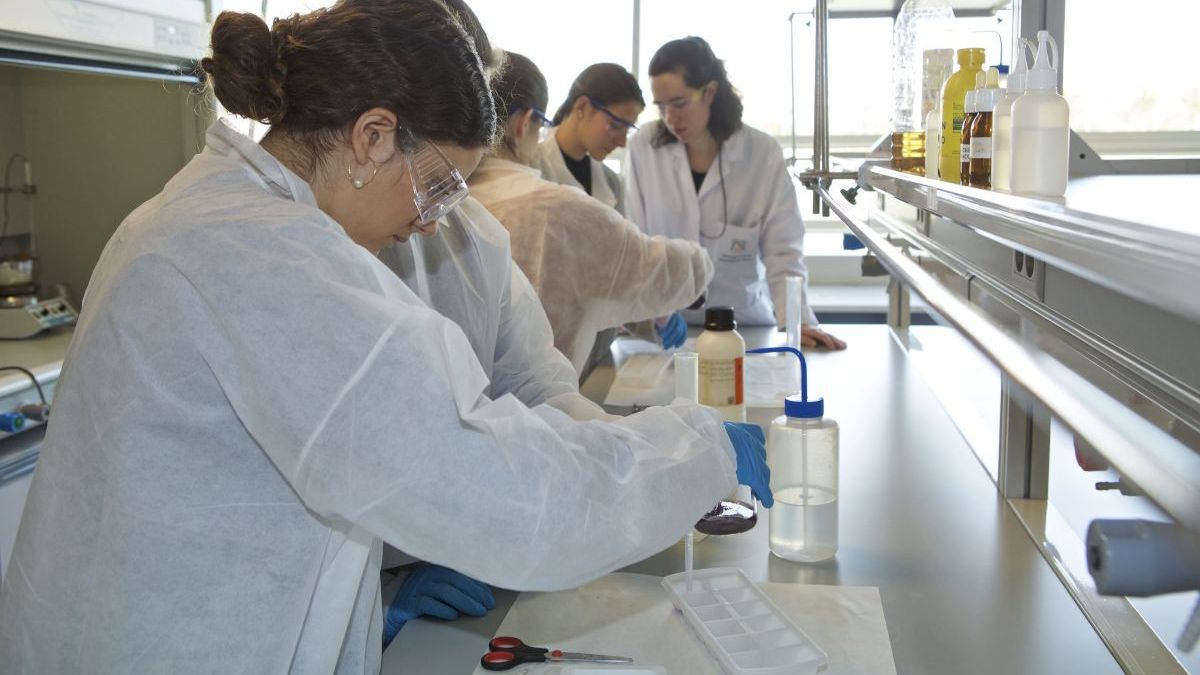 Alumnos de la ESO acuden a unas prácticas de ciencias en la Universidad de Alicante, en imagen de archivo.