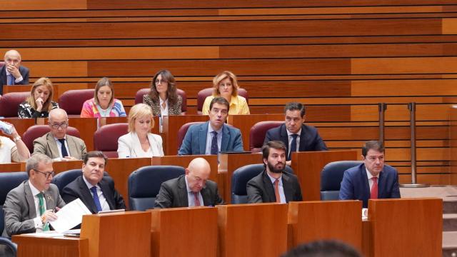 Mañueco durante la sesión matinal hoy en la Cortes junto a García-Gallardo