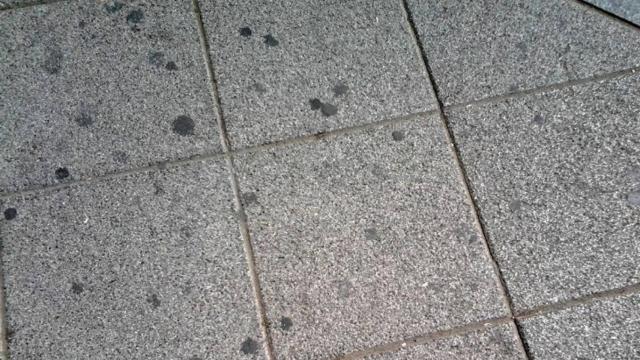¿Qué son las manchas negras que siempre hay en las aceras de las calles?