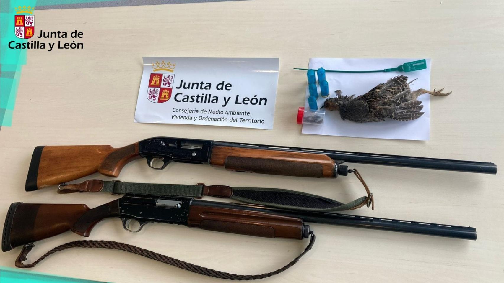 Objetos requisados a dos personas cazando una especie protegida
