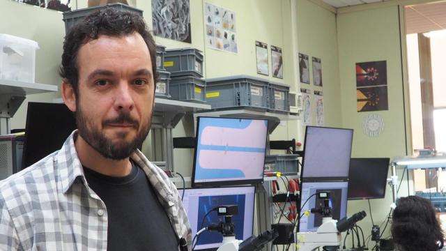 Andrés Castellanos, Premio Nacional de Investigación para Jóvenes 'Felisa Martín Bravo'.