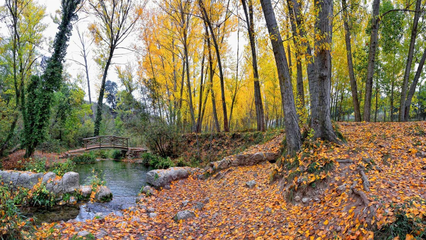 Molí l’Ombria en Banyeres de Mariola.