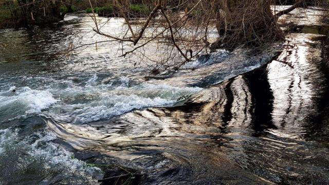 Imagen de archivo de un río.