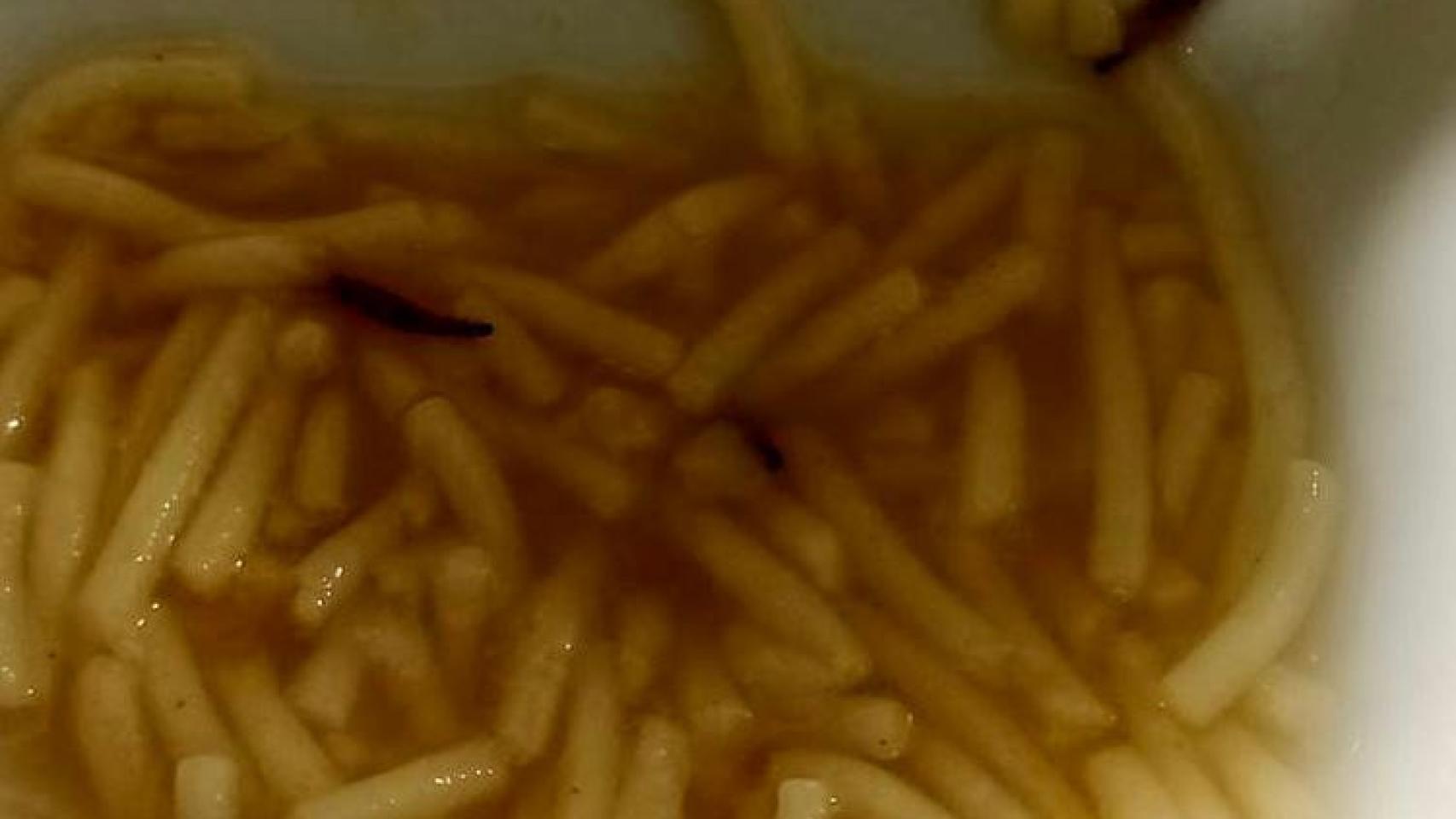 Gorgojos en la sopa del personal del Hospital de León