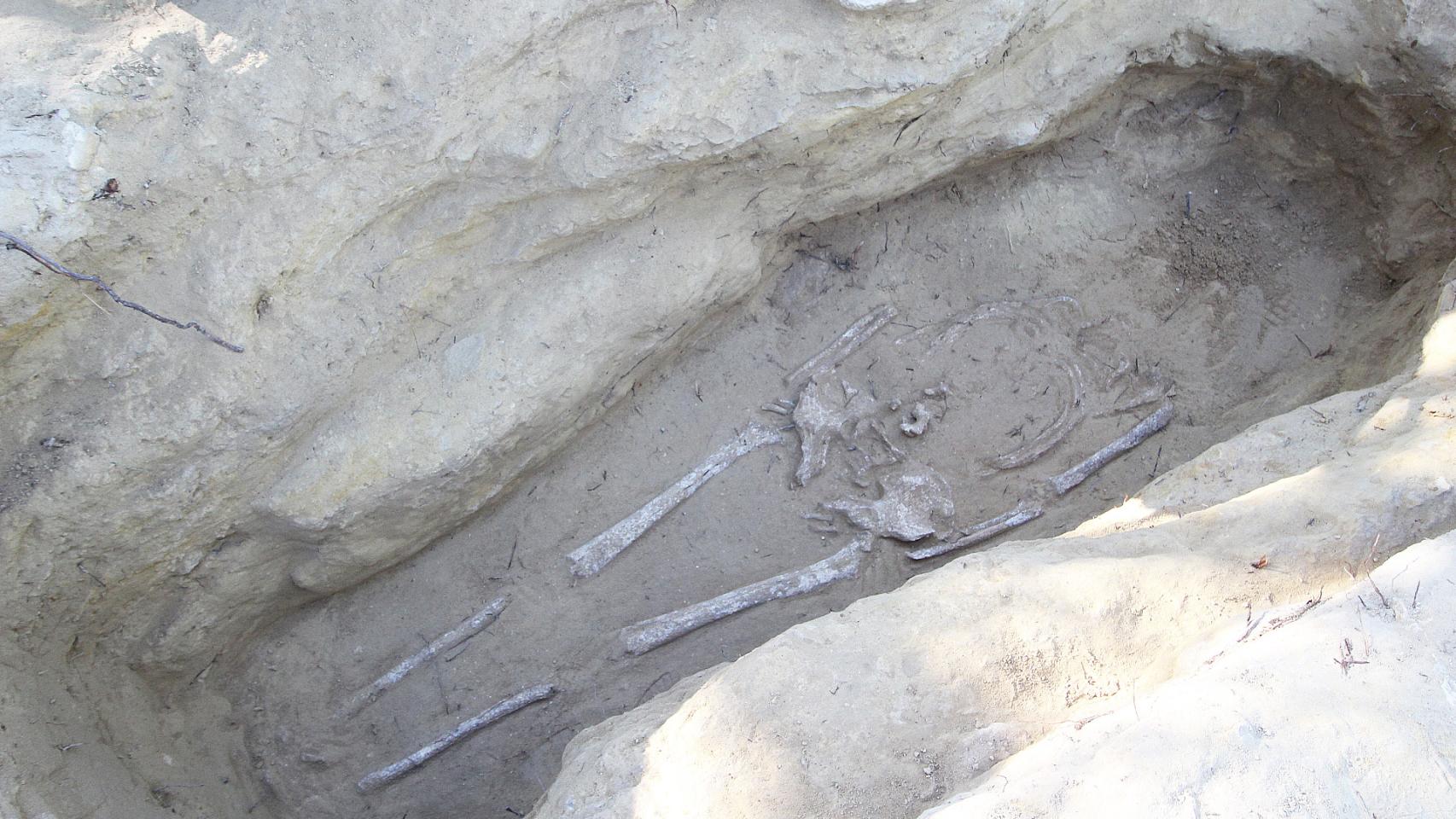 Una de las tumbas del Cabezo del Redondo. Foto: Ayuntamiento de Rojales