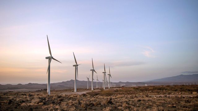 Parque eólico de Vestas en Kenia.