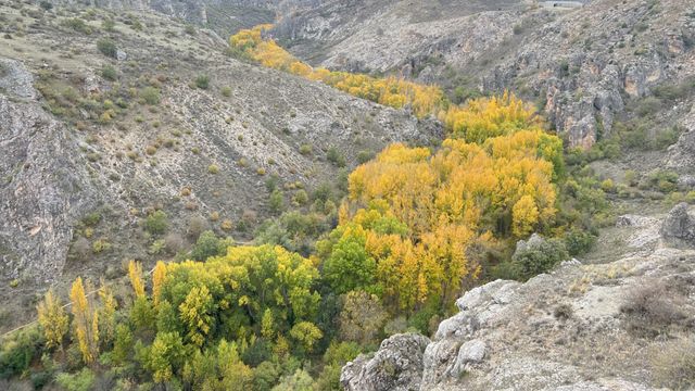 El increíble barranco de Guadalajara en el que Félix Rodríguez de la Fuente grabó sus películas