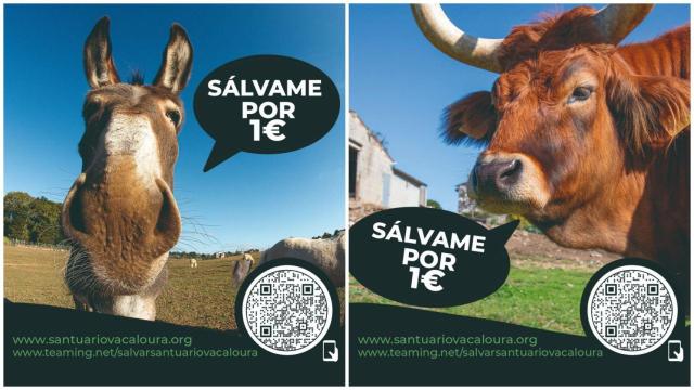 El Santuario Vacaloura en Santiago busca donaciones para renovar sus instalaciones