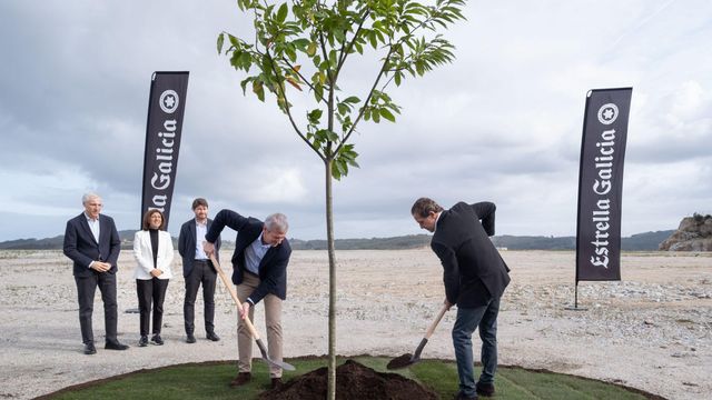 Plantación de árbol en el polígono de Morás, en Arteixo (A Coruña)