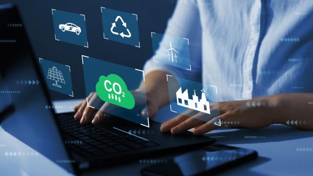 Imagen de archivo de una persona buscando información sobre sostenibilidad.