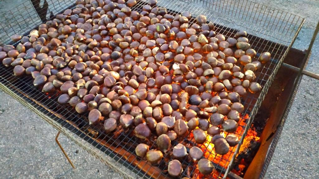 Imagen de una fiesta de Magosto. Foto: Páxinas Galegas