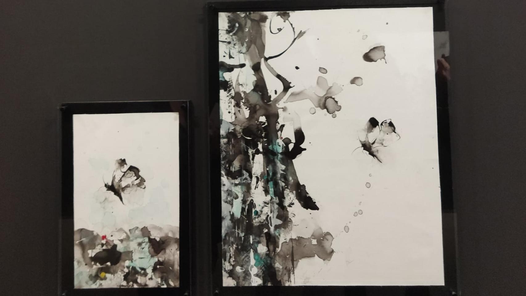 Mariposas de Jorge Rando