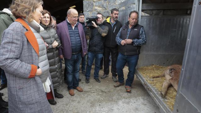 La secretaria general del Partido Popular, Cuca Gamarra, presenta la estrategia nacional para garantizar la supervivencia de la ganadería extensiva