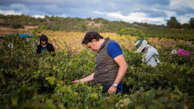 Vino Feliz, la apuesta por el albillo mayor