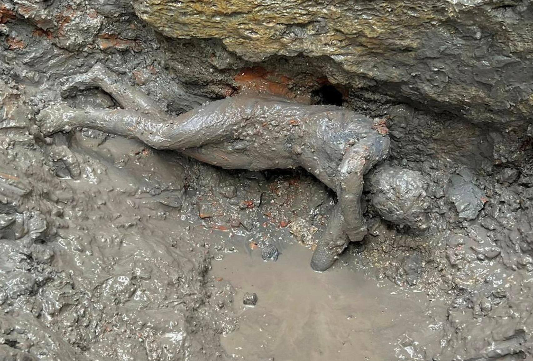 Una de las estatuas de bronces halladas en San Casciano. Foto: Ministerio de Cultura de Italia / Reuters