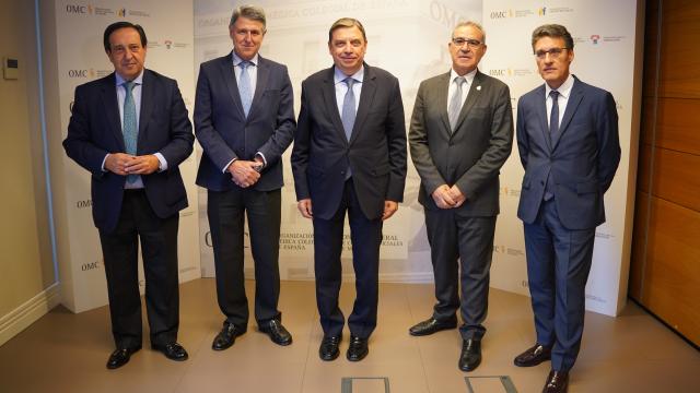 1.Presentacion Aceita Oliva y salud