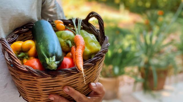 Una cesta con productos de cultivo.