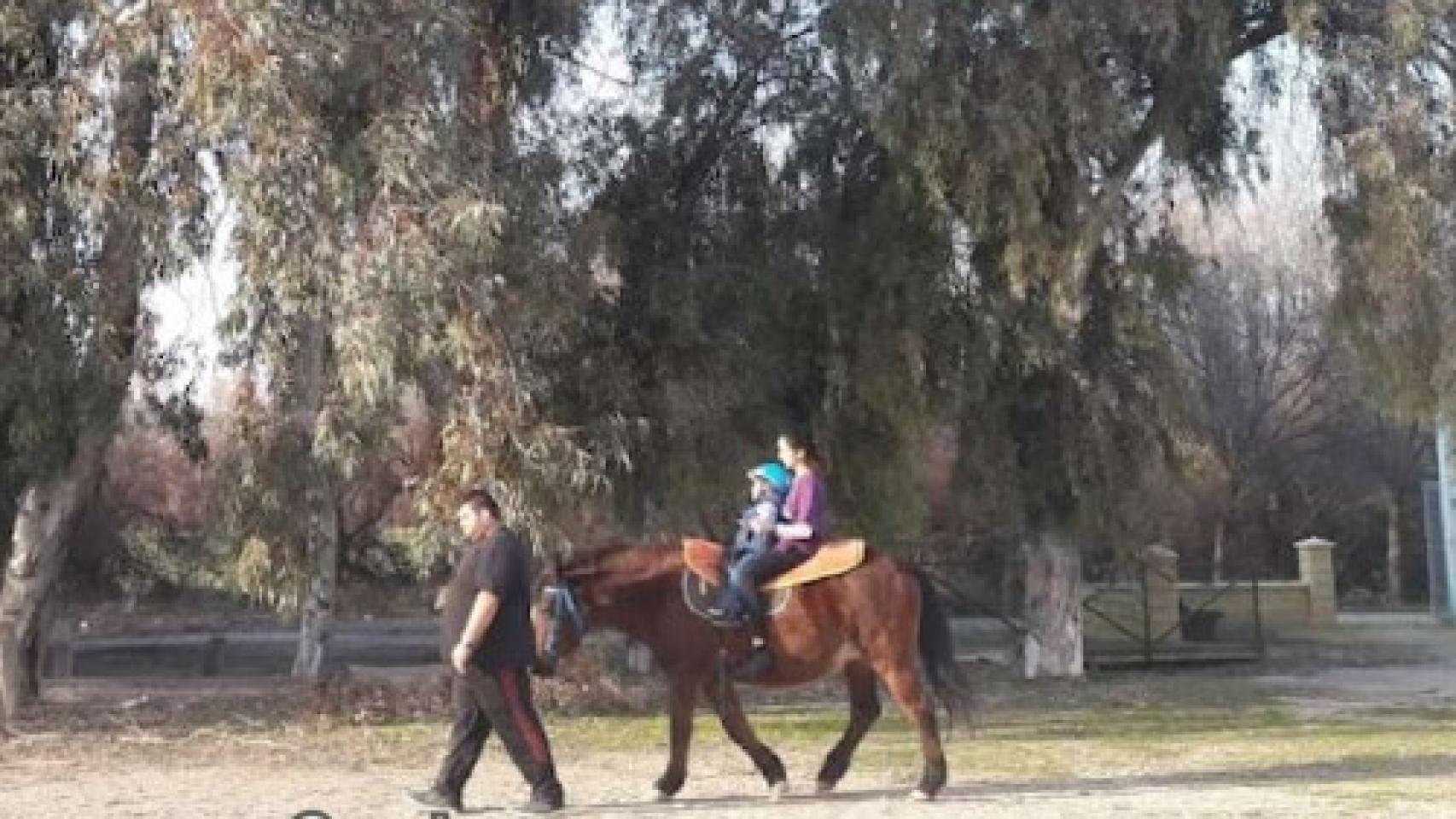 Un paseo con caballo en el centro de educación especial de Castro del Río donde ha ocurrido el accidente mortal.