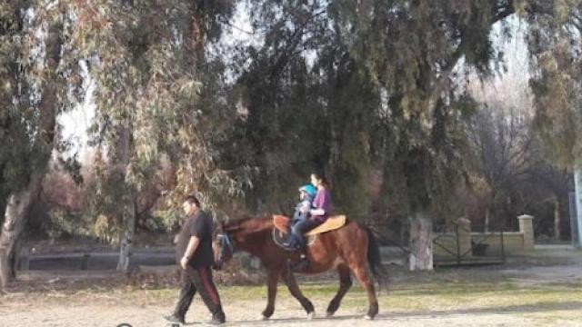 Un paseo con caballo en el centro de educación especial de Castro del Río donde ha ocurrido el accidente mortal.