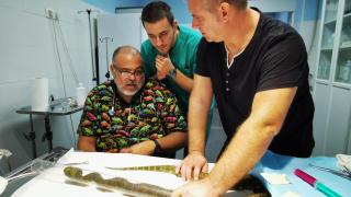 Momentos antes de la intervención.