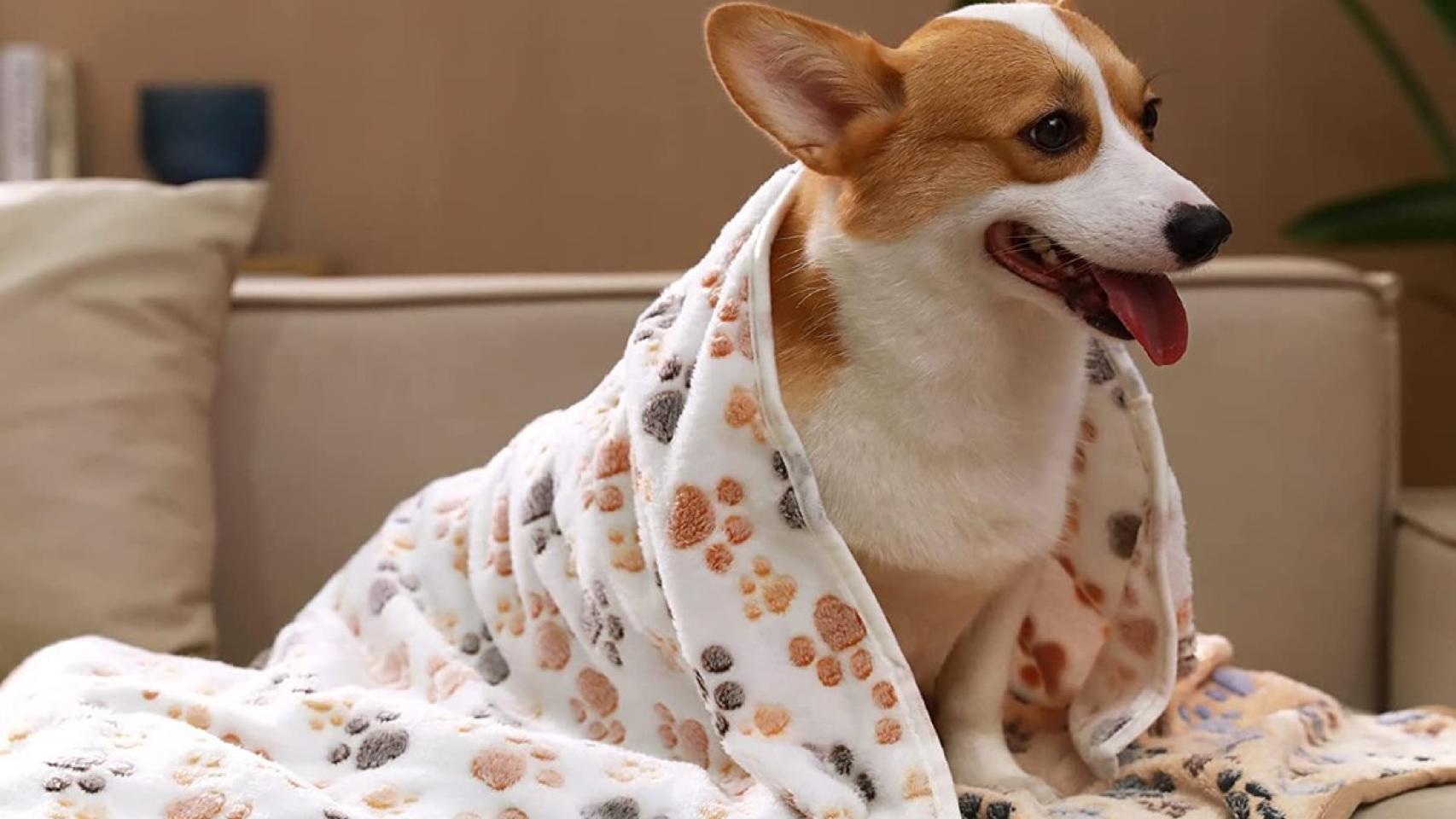 Mantas para perros