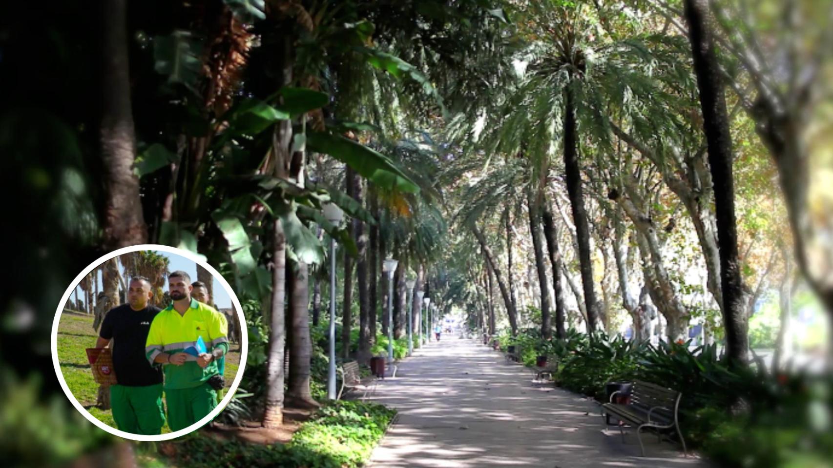 Parte de los jardineros del Ayuntamiento de Málaga, en huelga del 30 al 2 de diciembre