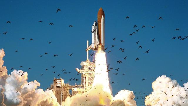 Challenger despegando