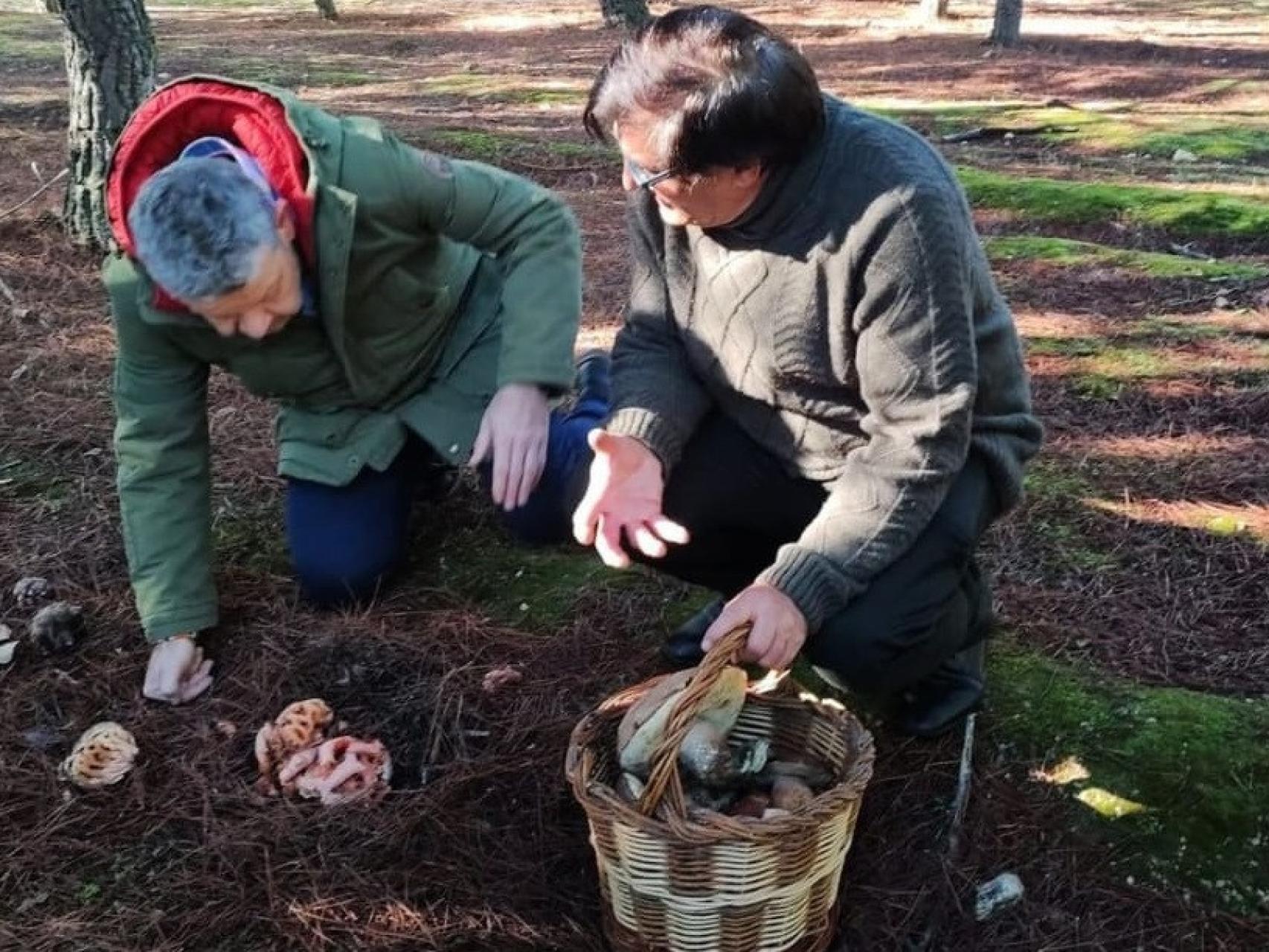 Chicote recoge setas junto al experto Juan Andrés Oria
