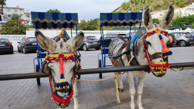 Manolo Escobar era el taxista más molón de Mijas.