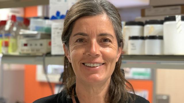 Maria Rosa Sarrias, del Instituto de Investigación Germans Trias i Pujol (IGTP). Investigadora principal del proyecto 'Un anticuerpo monoclonal para el tratamiento contra el cáncer'