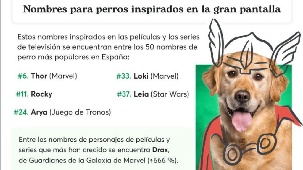 Nombres de perros inspirados por la televisión