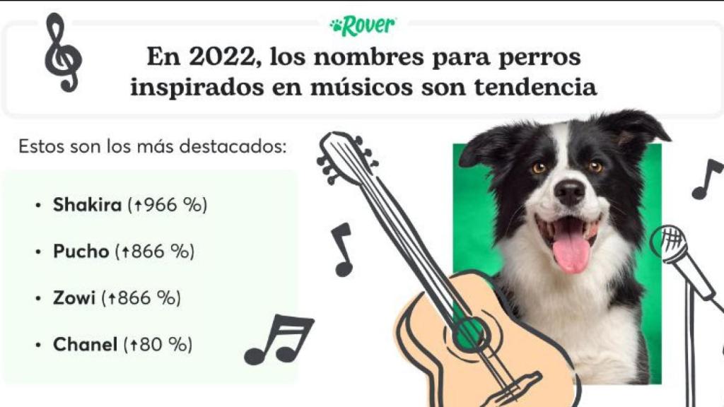 Nombres de perros inspirados en músicos