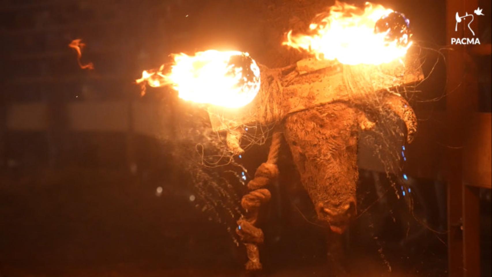 Toro Jubilo de Medinaceli