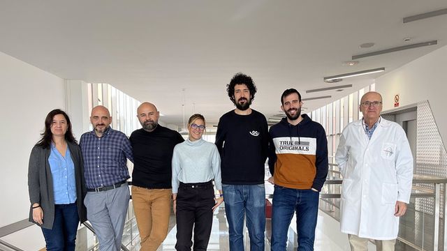 Científicos de Castilla-La Mancha descubren cómo reducir el tumor cerebral más común y letal