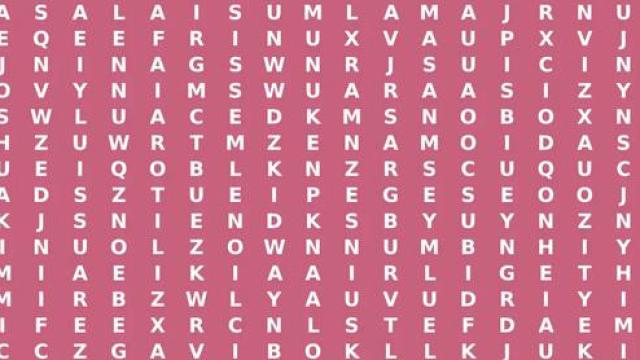 Encuentra las 16 palabras ocultas al jugar la sopa de letras con las estrellas del próximo Mundial de Qatar 2022.