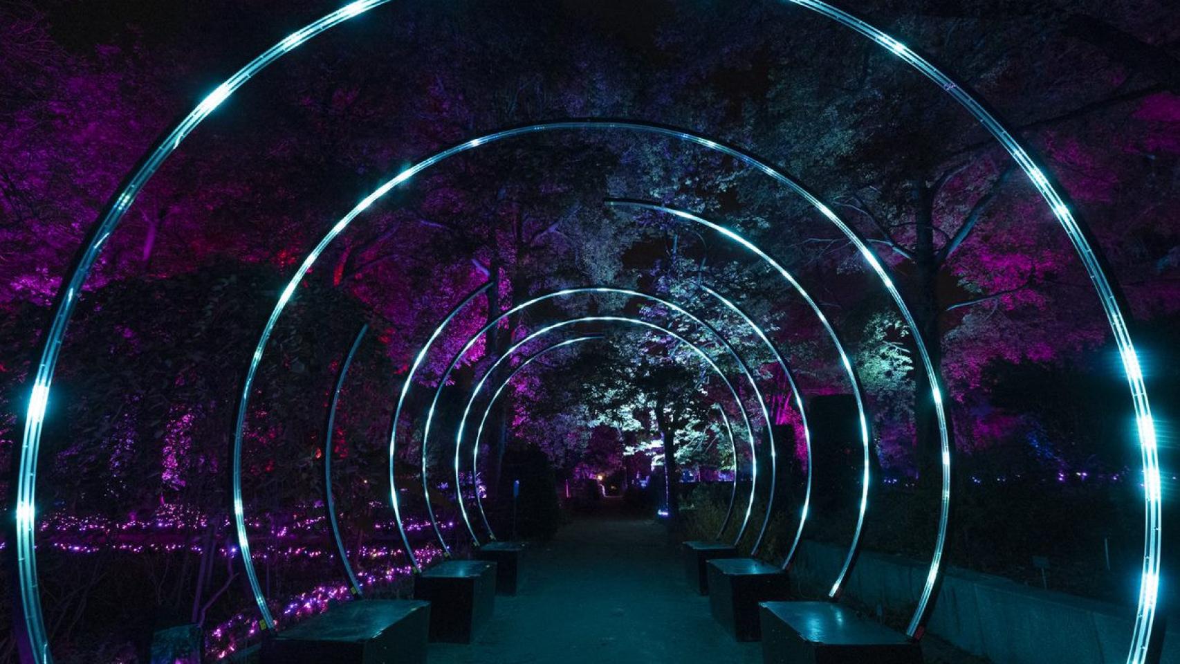 Entradas, precios y horarios para ir a Naturaleza Encendida en el Jardín Botánico de Madrid.