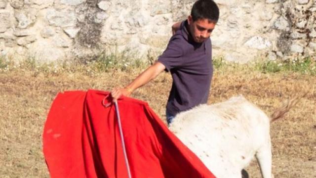 Ignacio López-Chaves Toreando