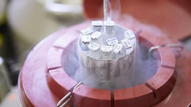 inser-banco-de-semen